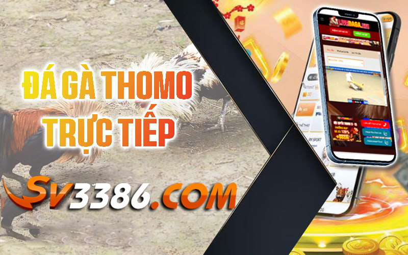 Truc-tiep-da-ga-sv3386-Truc-tiep-Thomo-hang-ngay
