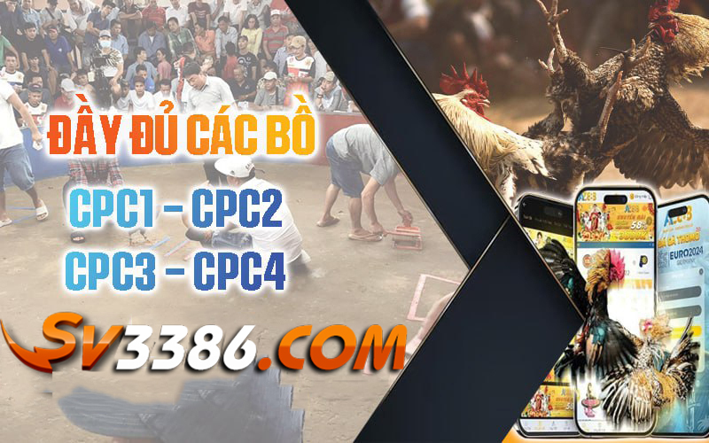 Truc-tiep-day-du-cac-bo-ga-sv3386